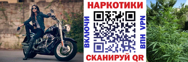 Хочу наркоту Грязовец Конопля Галлюциногенные грибы мега ССЫЛКА Кокаин ГАШИШ