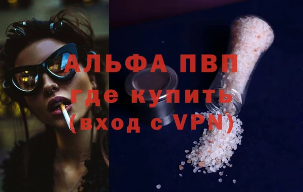 a pvp Бородино