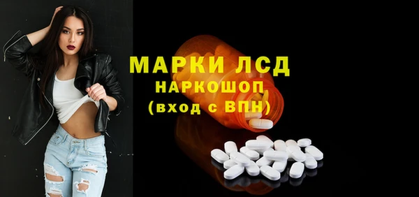 a pvp Бородино