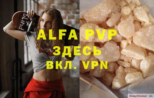 a pvp Бородино