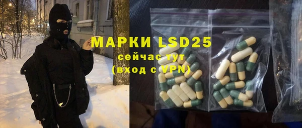 a pvp Бородино