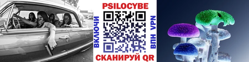 мориарти формула Грязовец Псилоцибиновые грибы GOLDEN TEACHER хочу