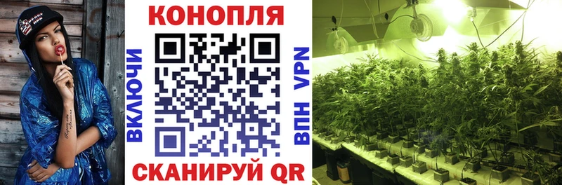Марихуана Ganja как найти Грязовец